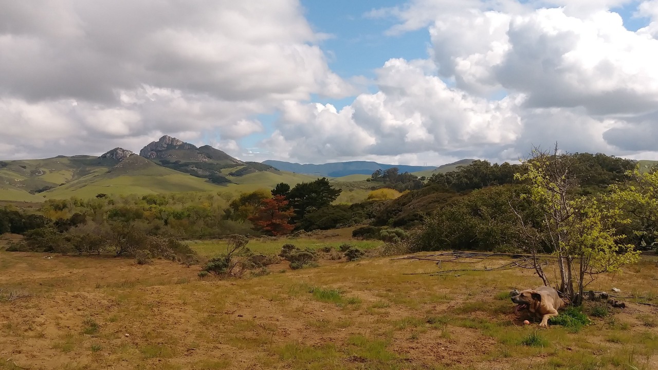Photo of Outdoor in Baywood-Los Osos