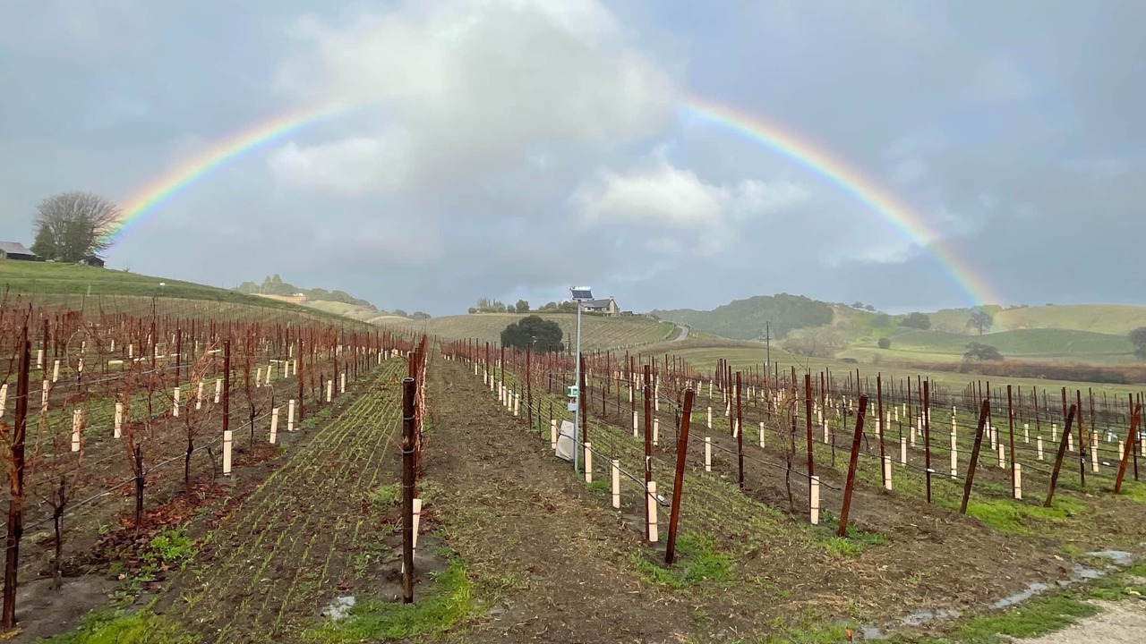 Photo of Others in Paso Robles