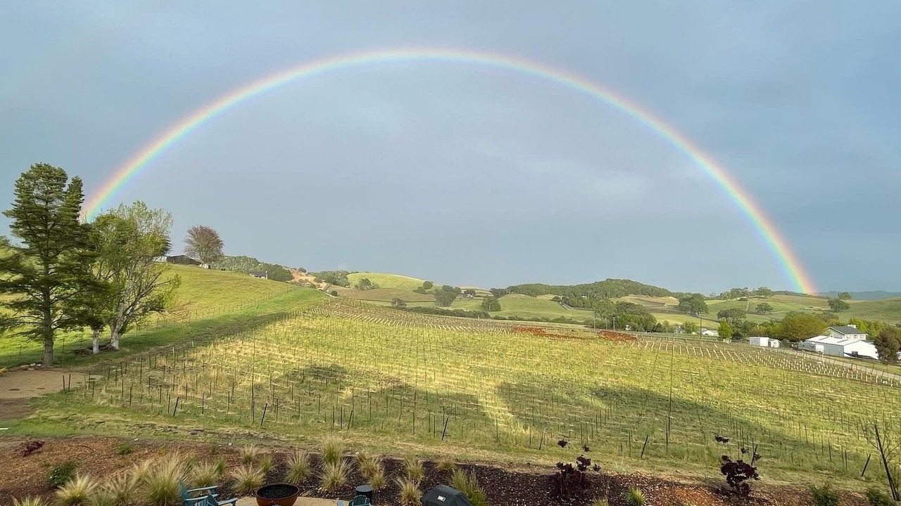 Photo of Others in Paso Robles