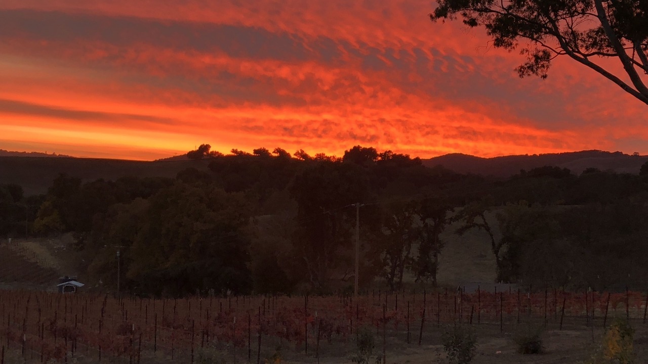 Photo of Others in Paso Robles