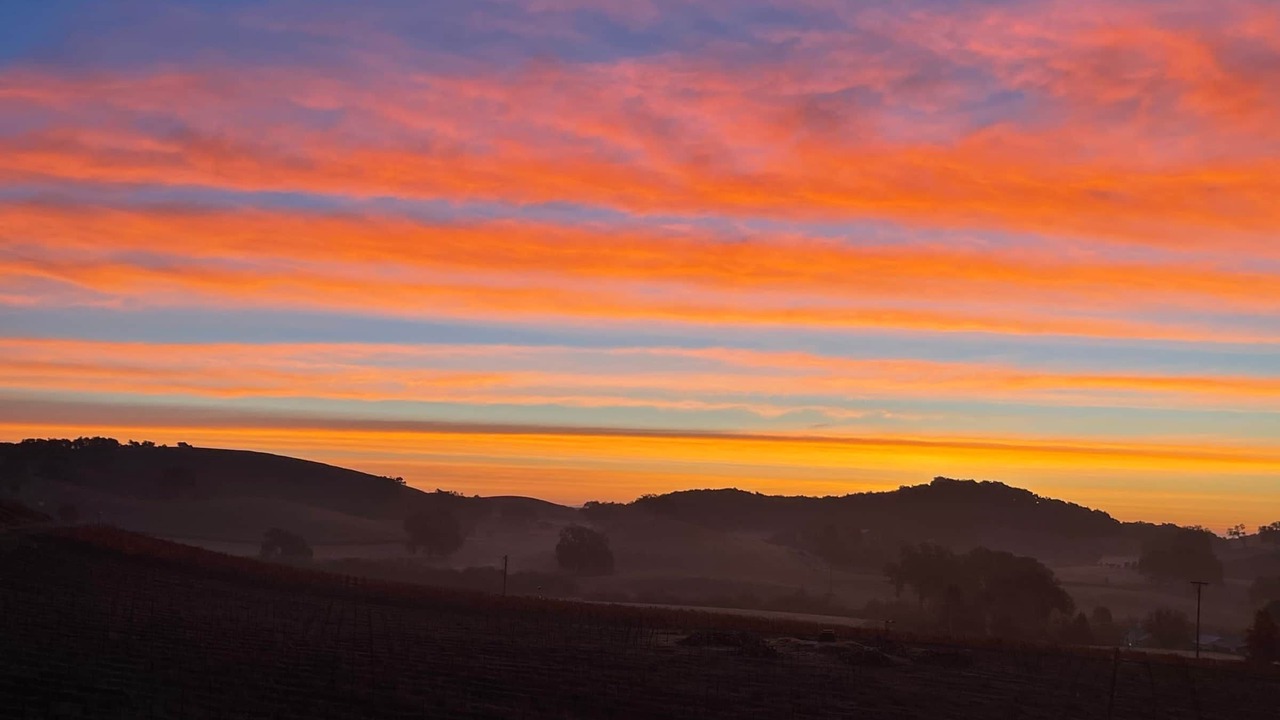 Photo of Others in Paso Robles