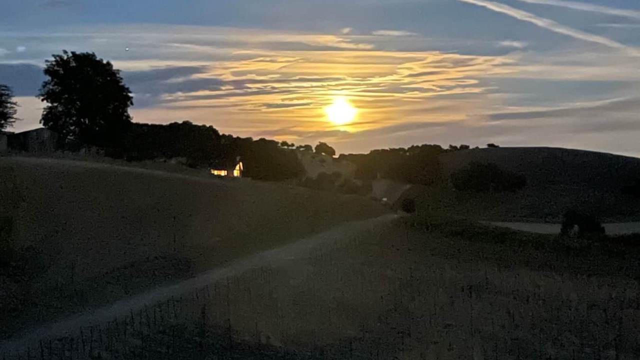 Photo of Others in Paso Robles