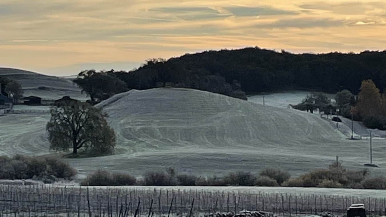 Photo of Others in Paso Robles