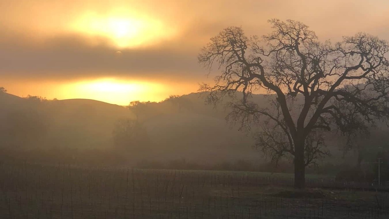 Photo of Others in Paso Robles