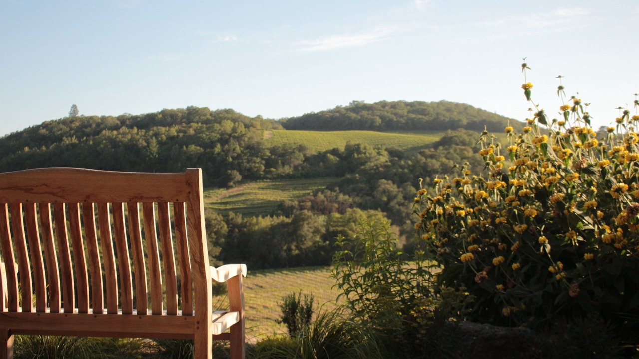 Photo of Others in Sonoma