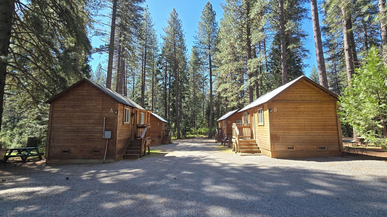 Photo of Outdoor in Shingletown
