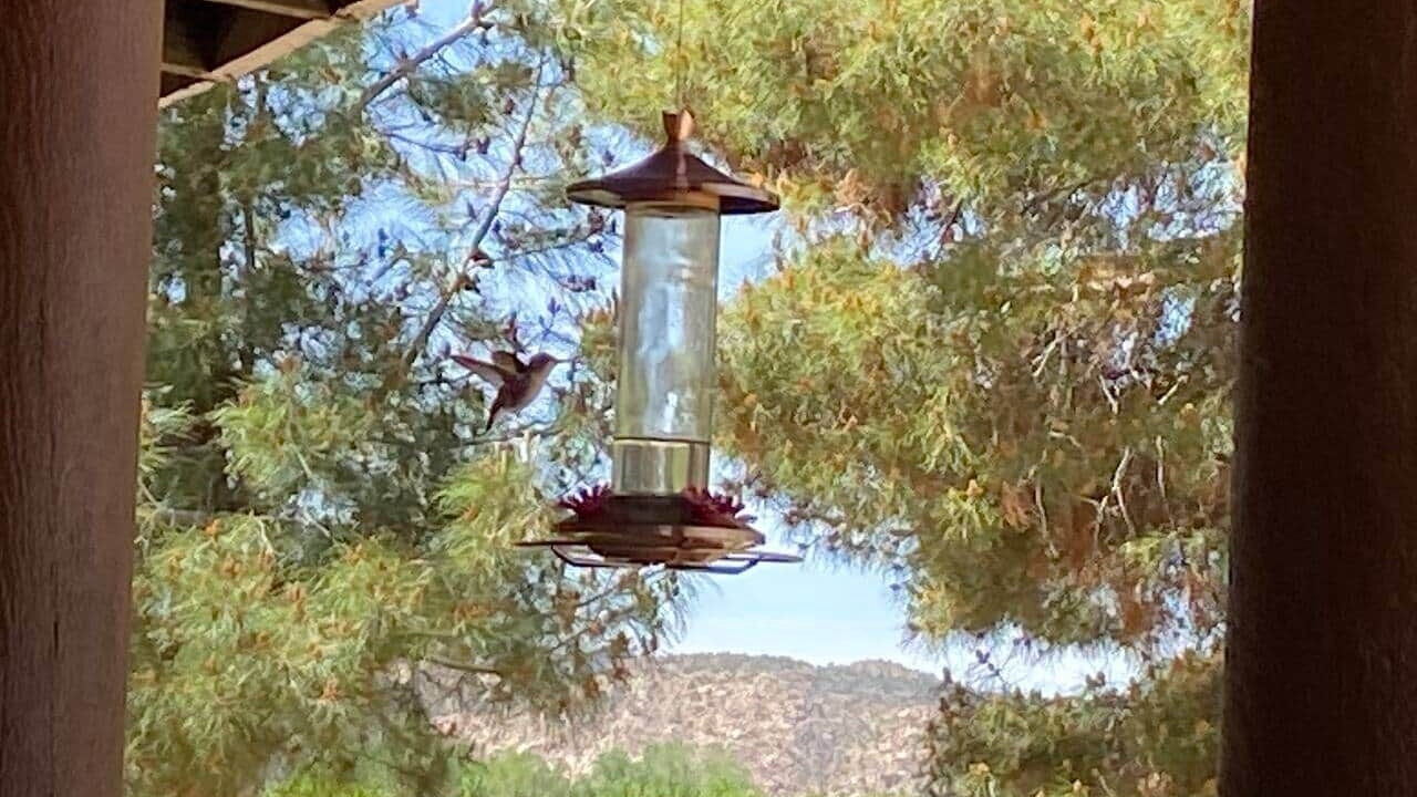Photo of Others in St. George