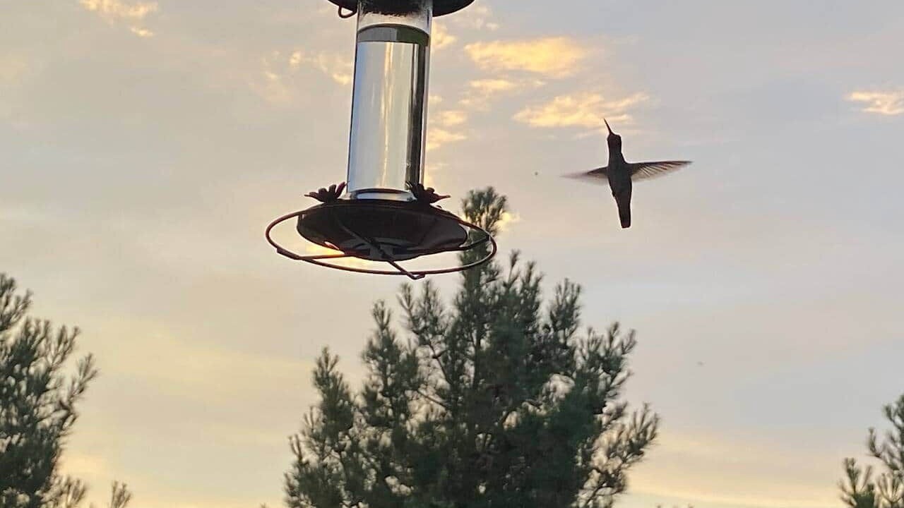 Photo of Others in St. George