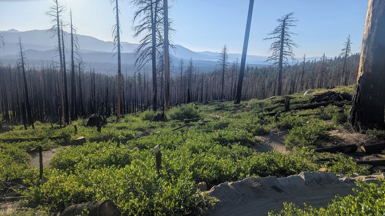 Photo of Others in South Lake Tahoe
