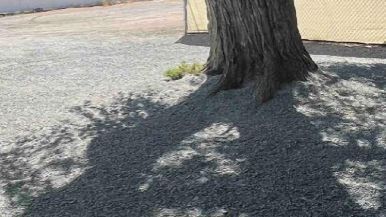 Photo of Outdoor in Alturas