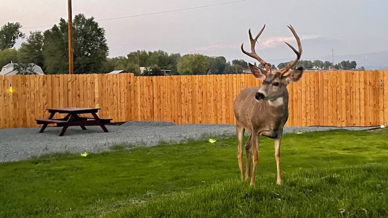 Photo of Outdoor in Alturas