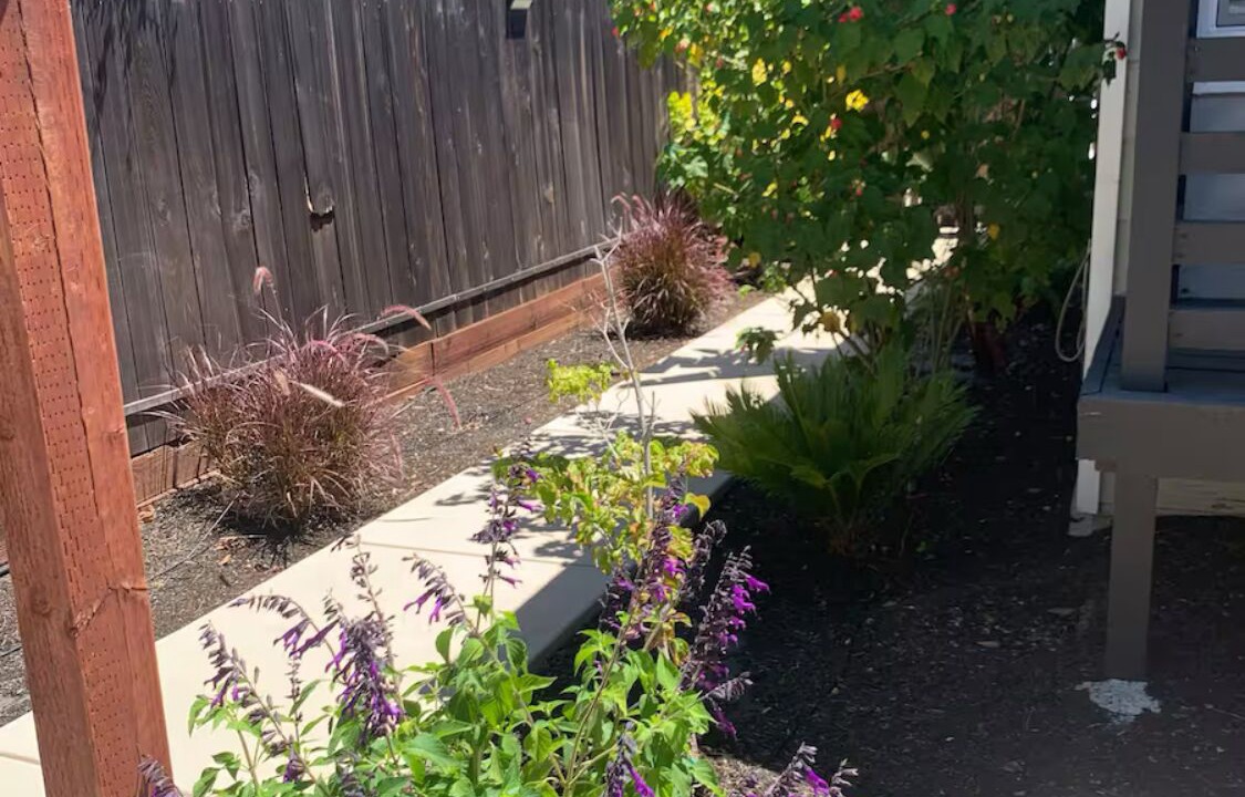 Photo of Outdoor in Concord