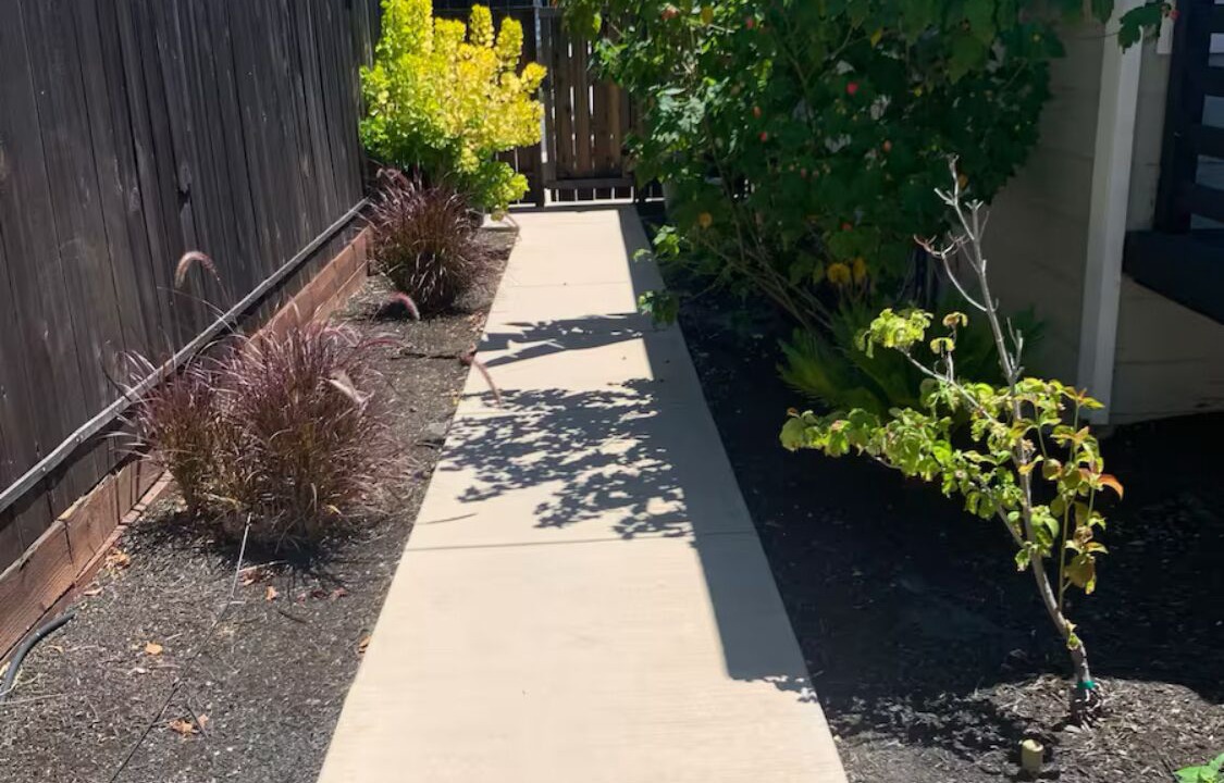 Photo of Outdoor in Concord
