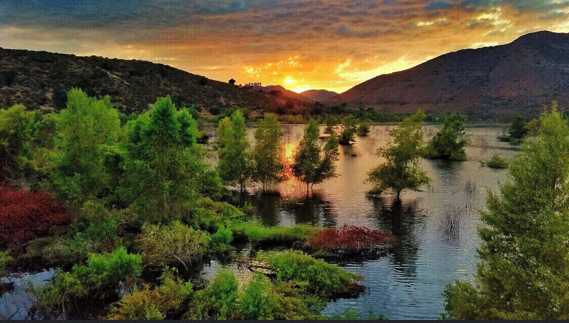 Photo of Outdoor in Rancho Bernardo