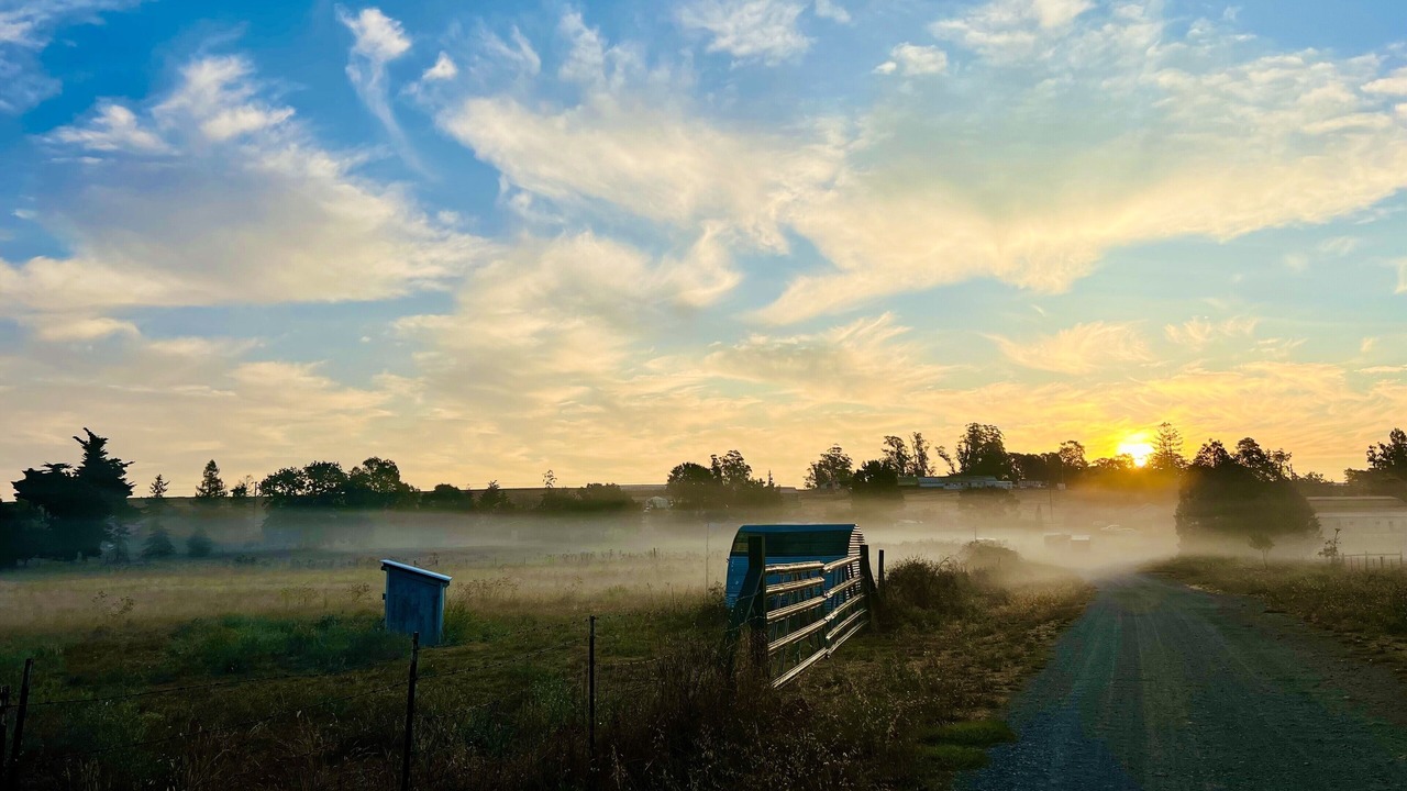 Photo of Outdoor in Freestone