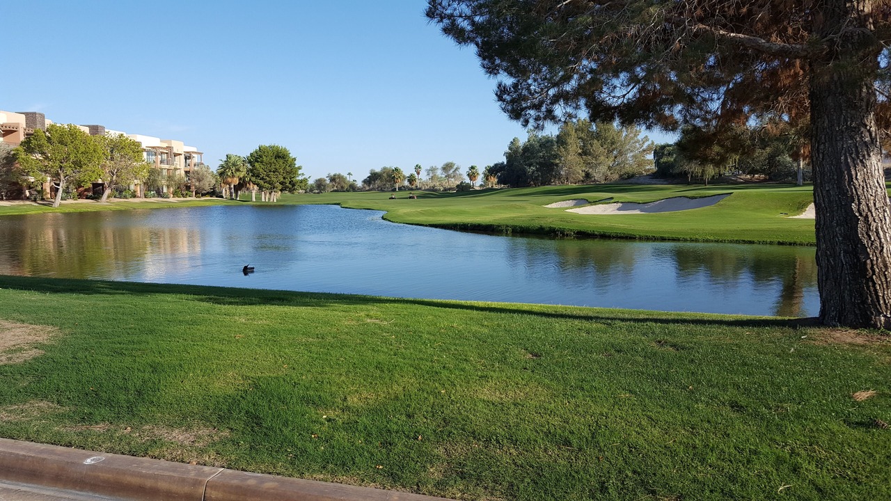Photo of Others in Palm Desert