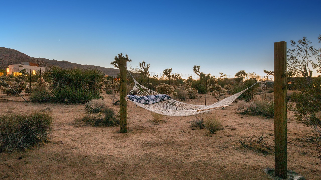 Photo of Outdoor in Joshua Tree