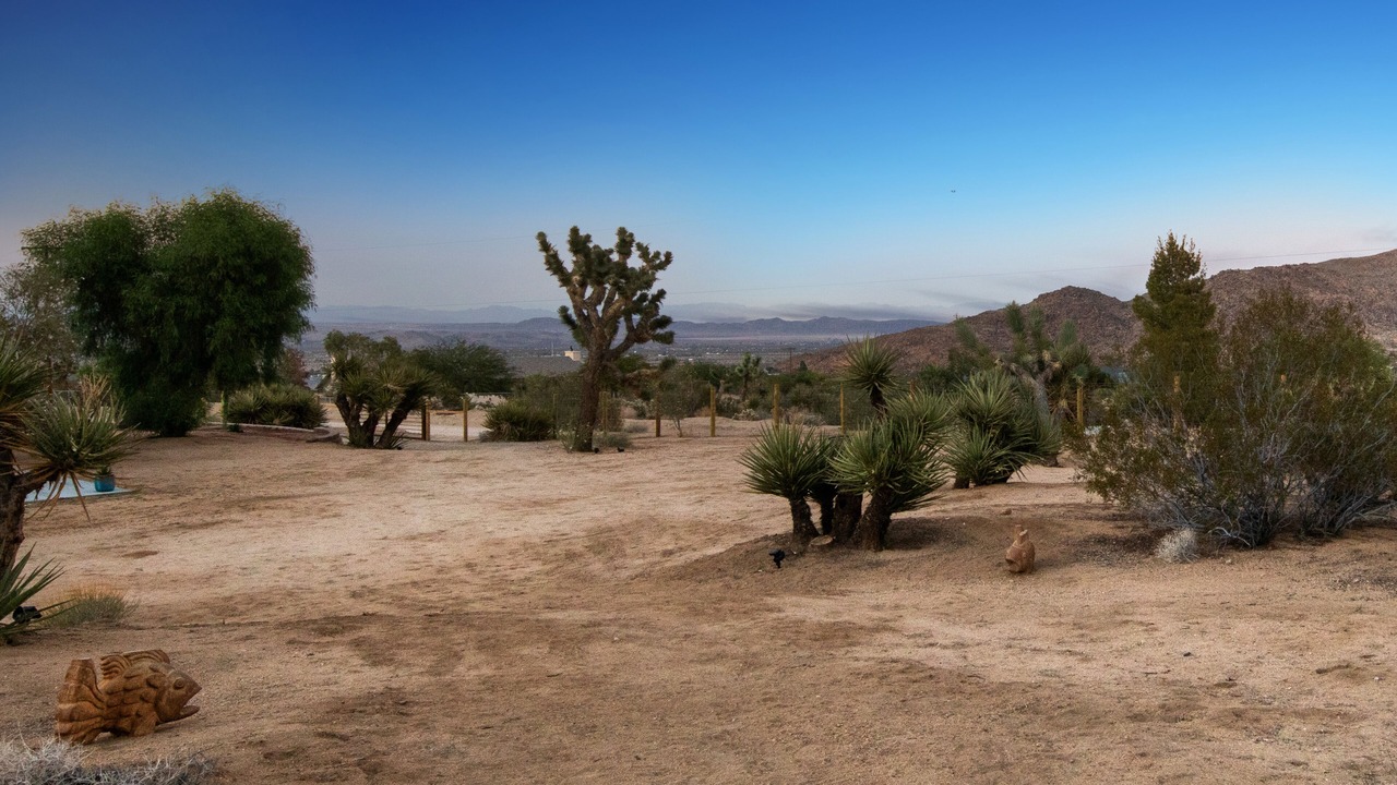 Photo of Outdoor in Joshua Tree
