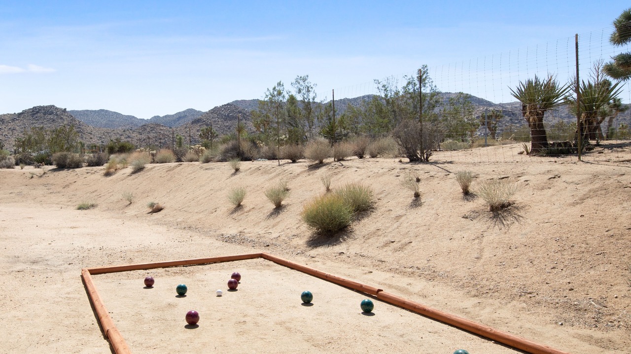 Photo of Others in Joshua Tree