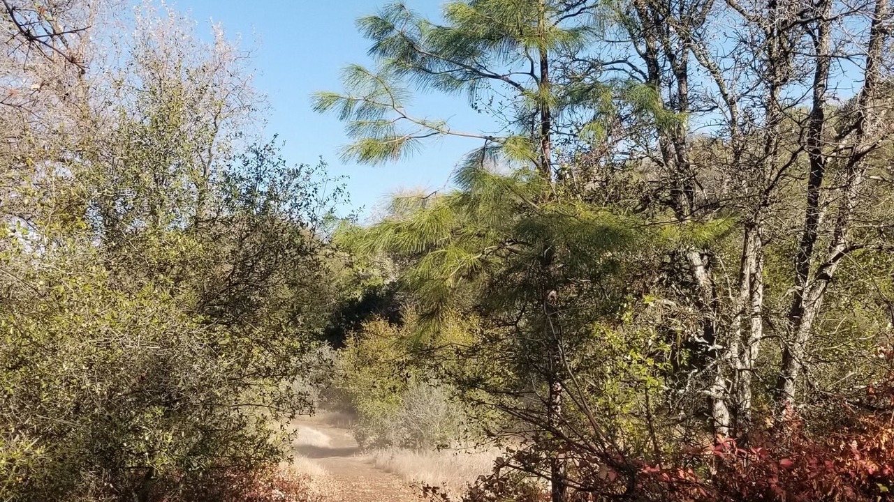 Photo of Outdoor in Cold Springs