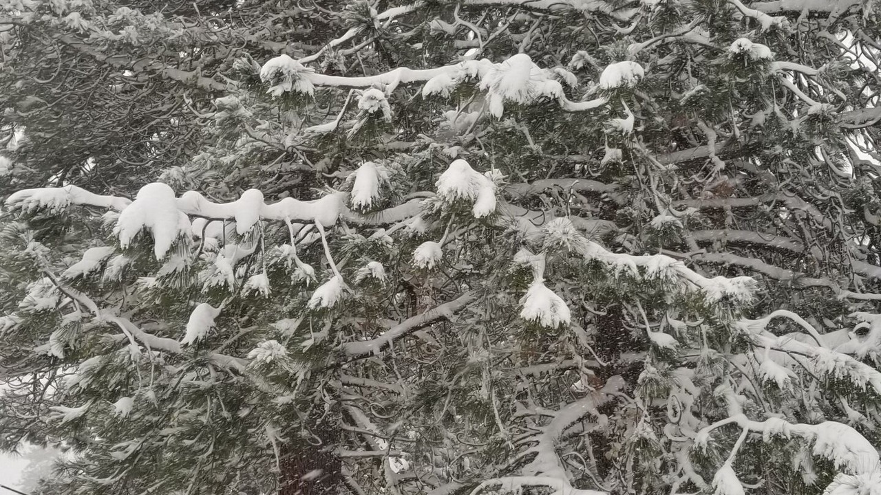 Photo of Others in Cold Springs