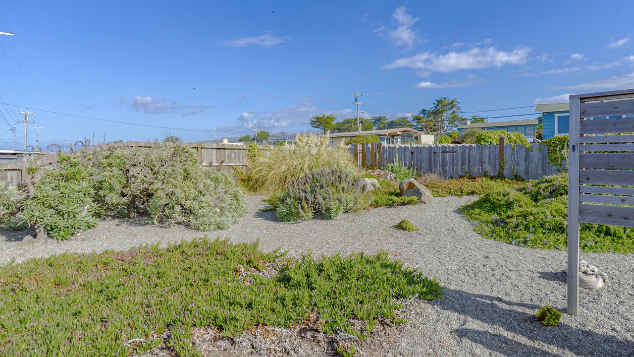 Photo of Outdoor in Bodega Bay