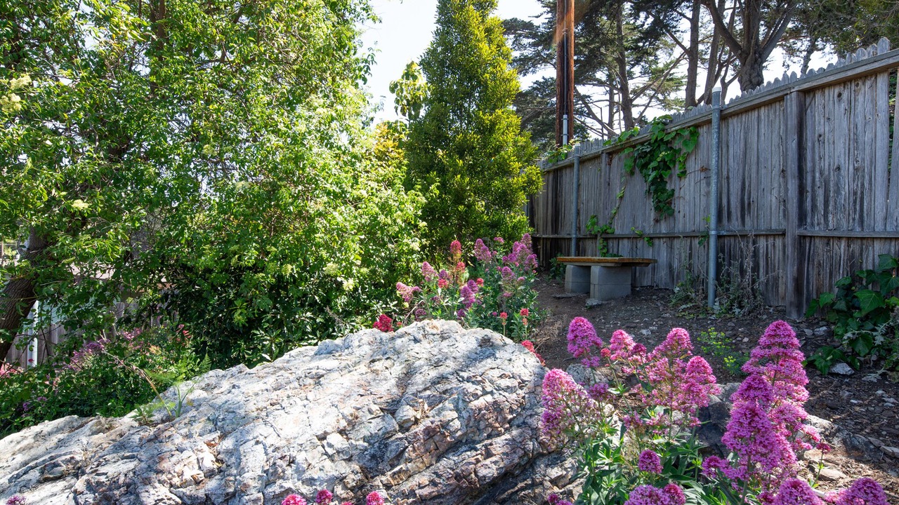 Photo of Outdoor in Cayucos