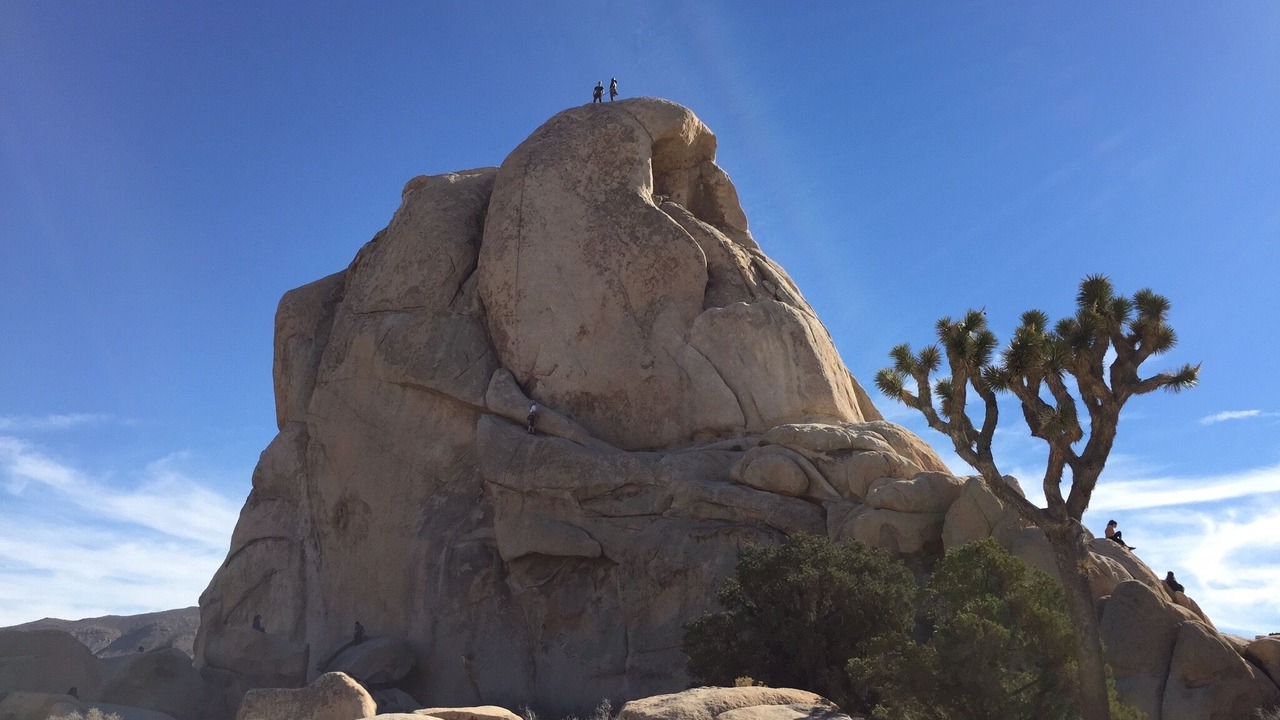 Photo of Others in Joshua Tree