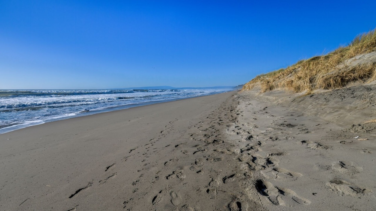 Photo of Others in Pajaro Dunes