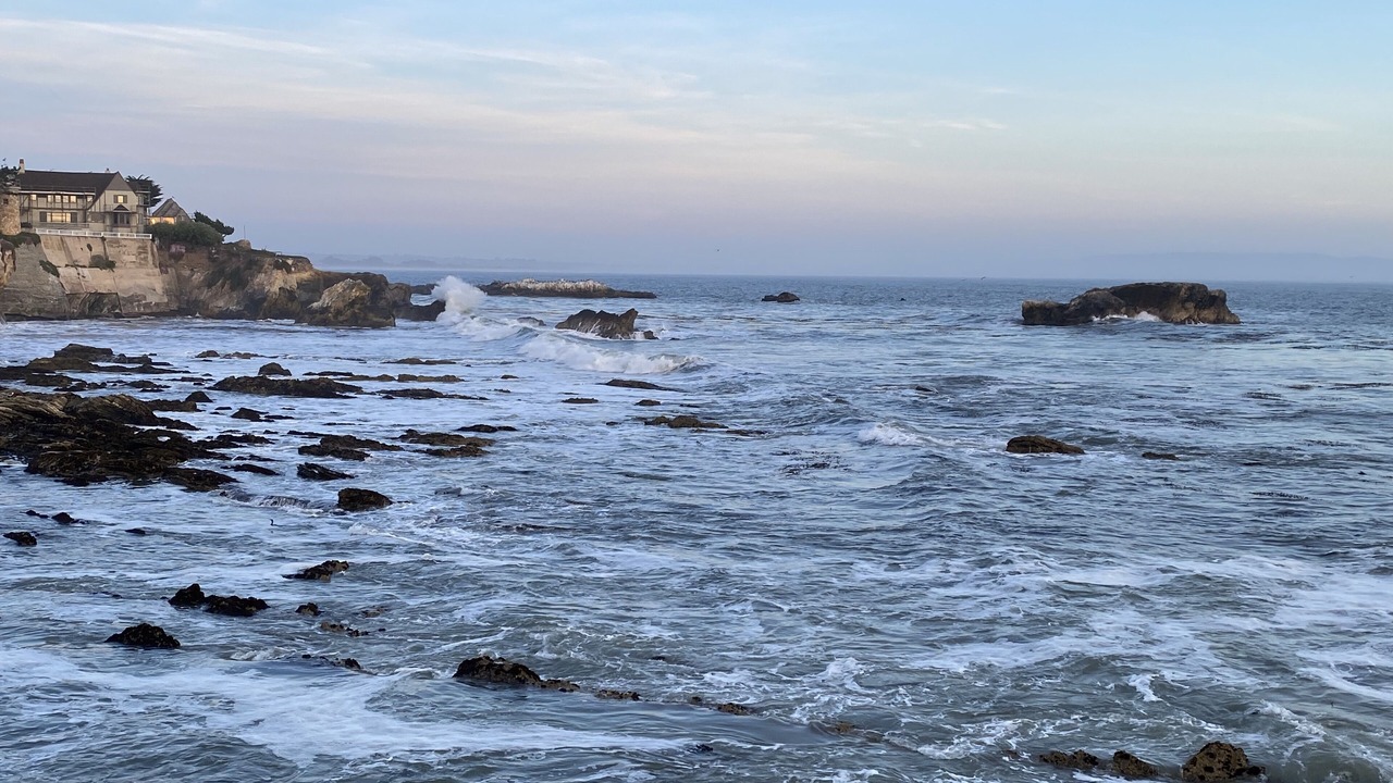 Photo of Others in Shell Beach