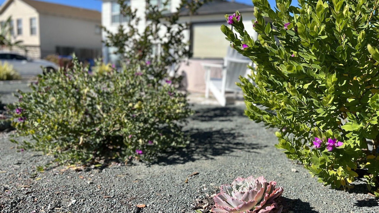 Photo of Outdoor in Shell Beach