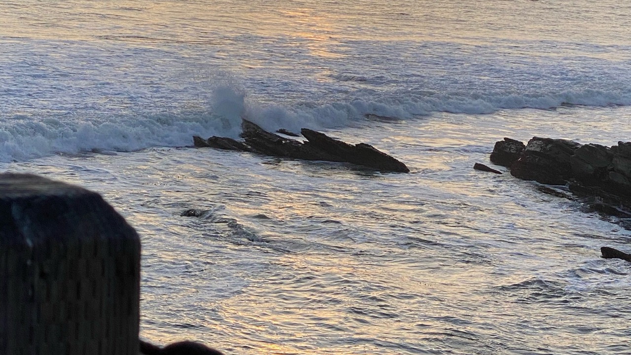 Photo of Others in Shell Beach