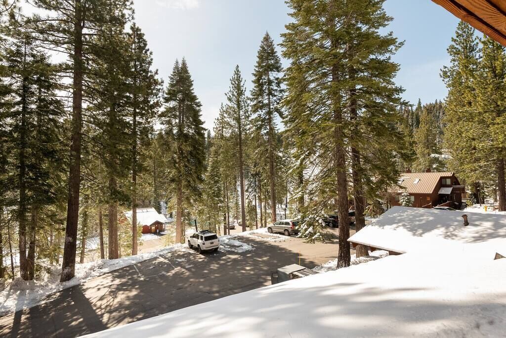 Photo of Others in Tahoe Woods