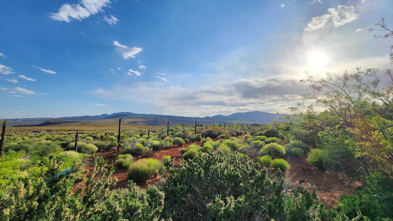 Photo of Outdoor in Kayenta