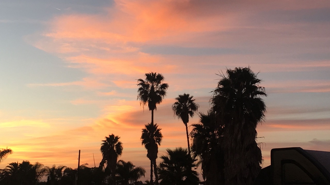 Photo of Others in East Side Capistrano