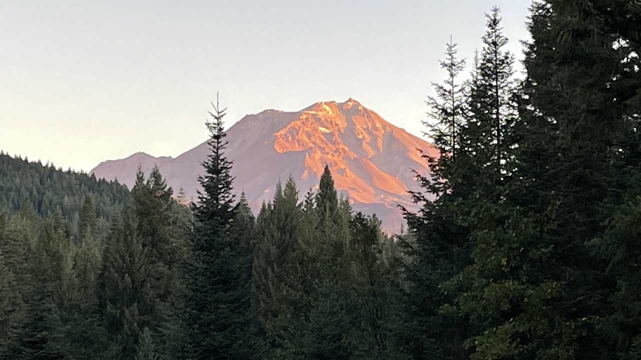 Photo of Others in McCloud