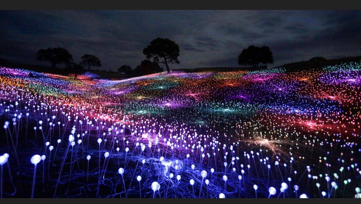 Photo of Outdoor in Paso Robles