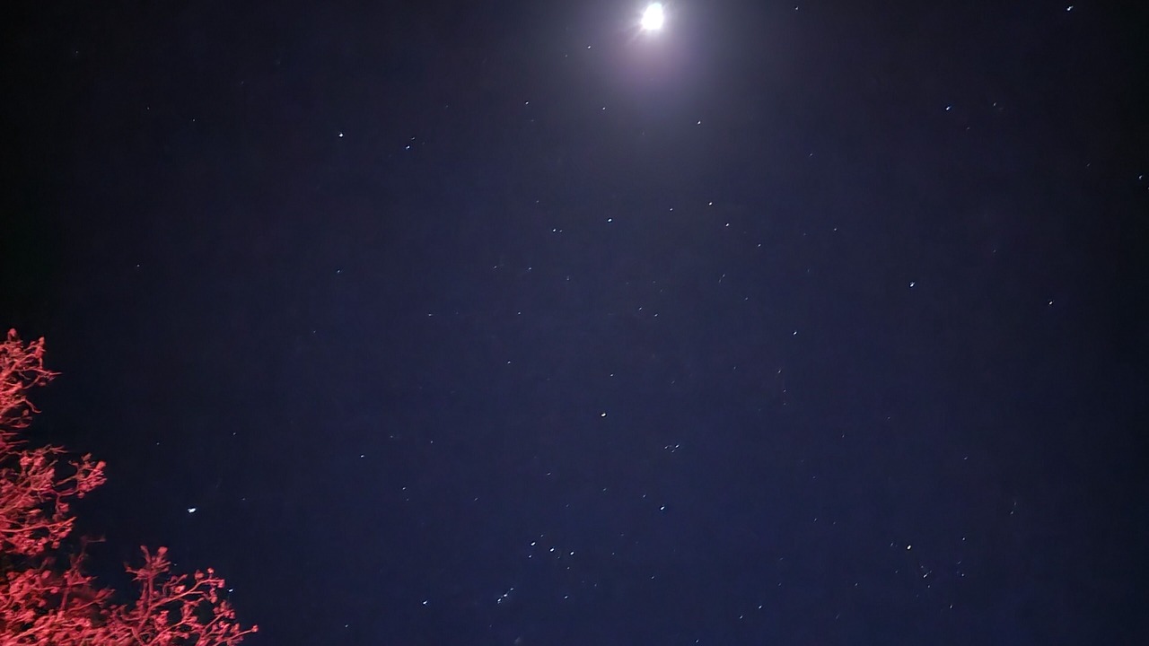 Photo of Others in Mount Charleston