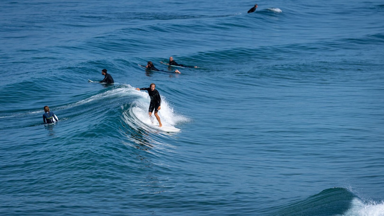 Photo of Others in North Valley