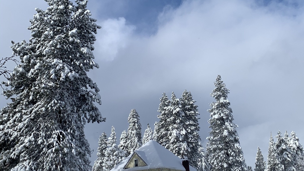 Photo of Others in Mount Shasta