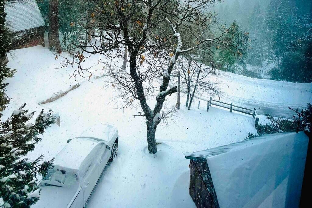 Photo of Others in Alta Sierra