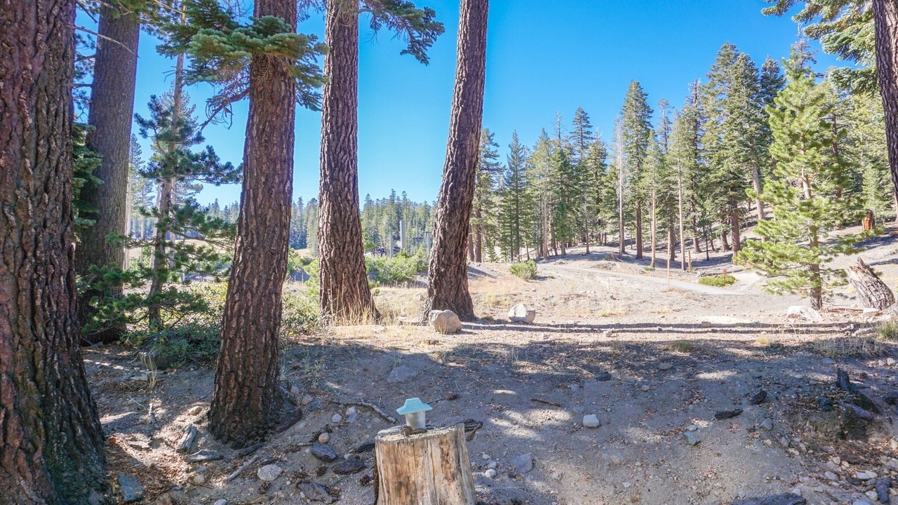 Photo of Others in Mammoth Lakes
