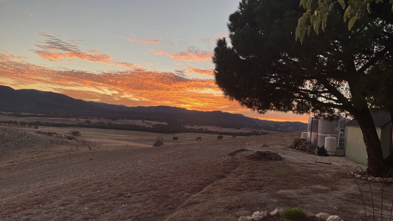 Photo of Others in Paso Robles