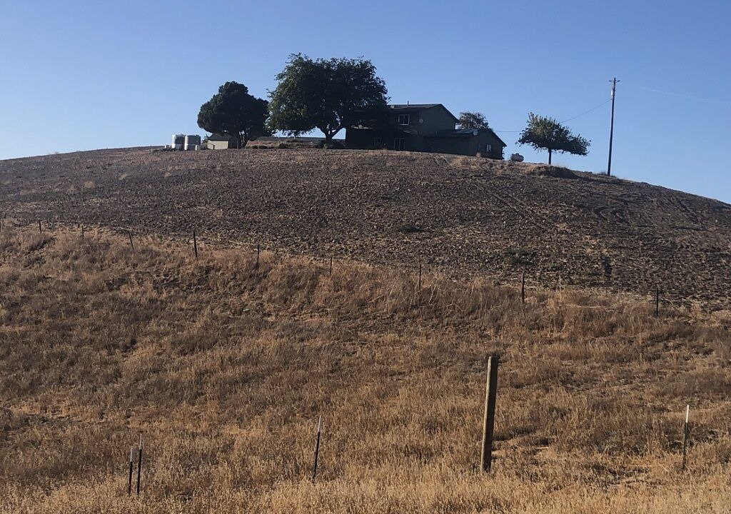 Photo of Others in Paso Robles