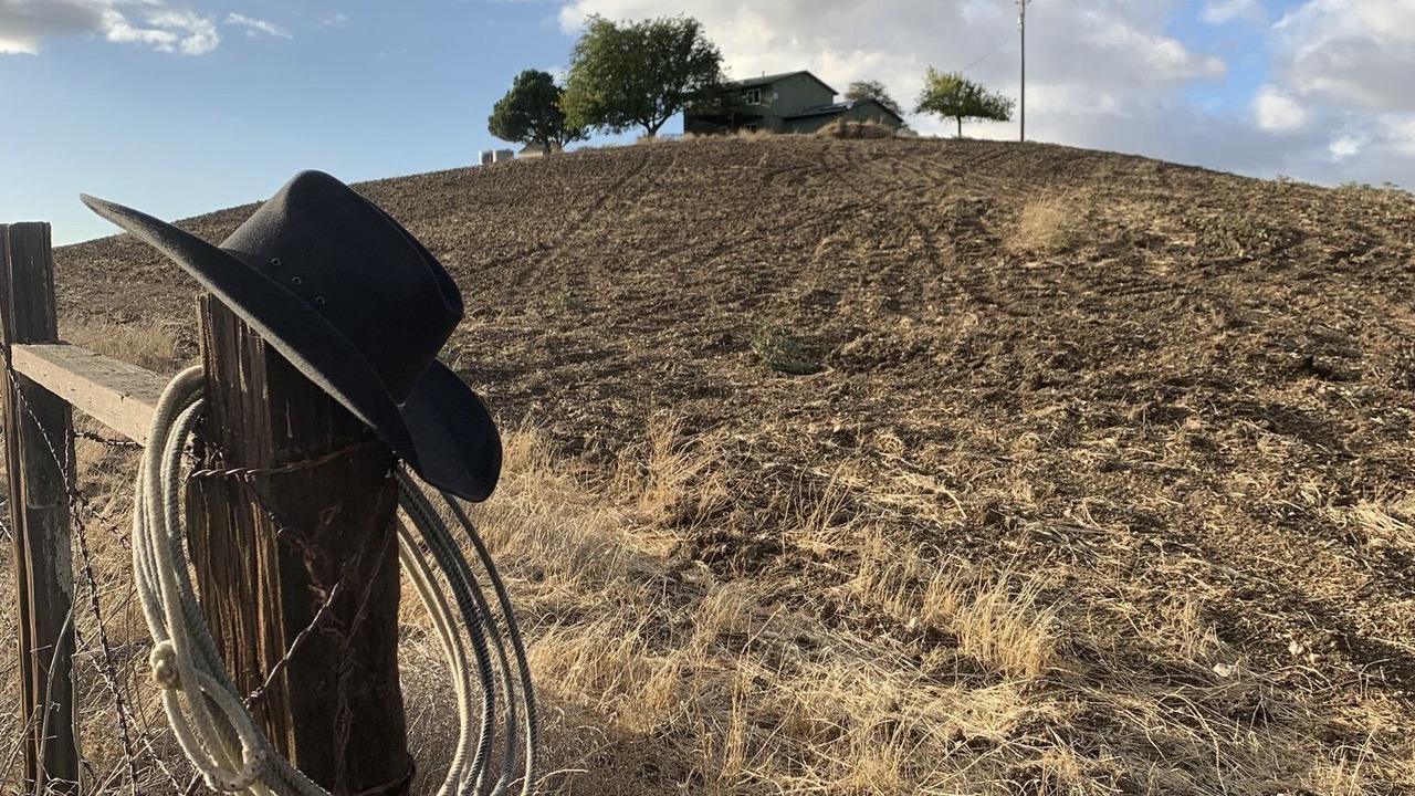 Photo of Others in Paso Robles