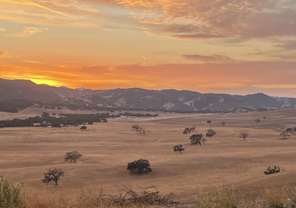 Photo of Others in Paso Robles