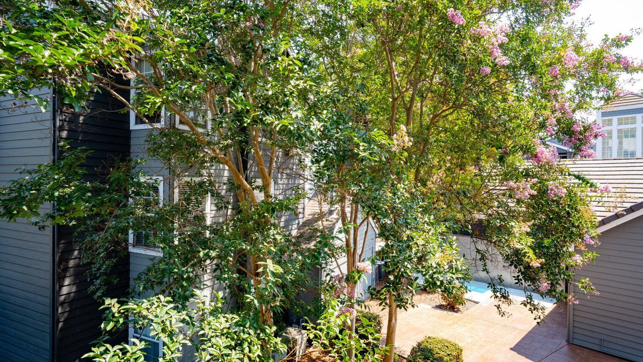 Photo of Outdoor in Sunnyvale