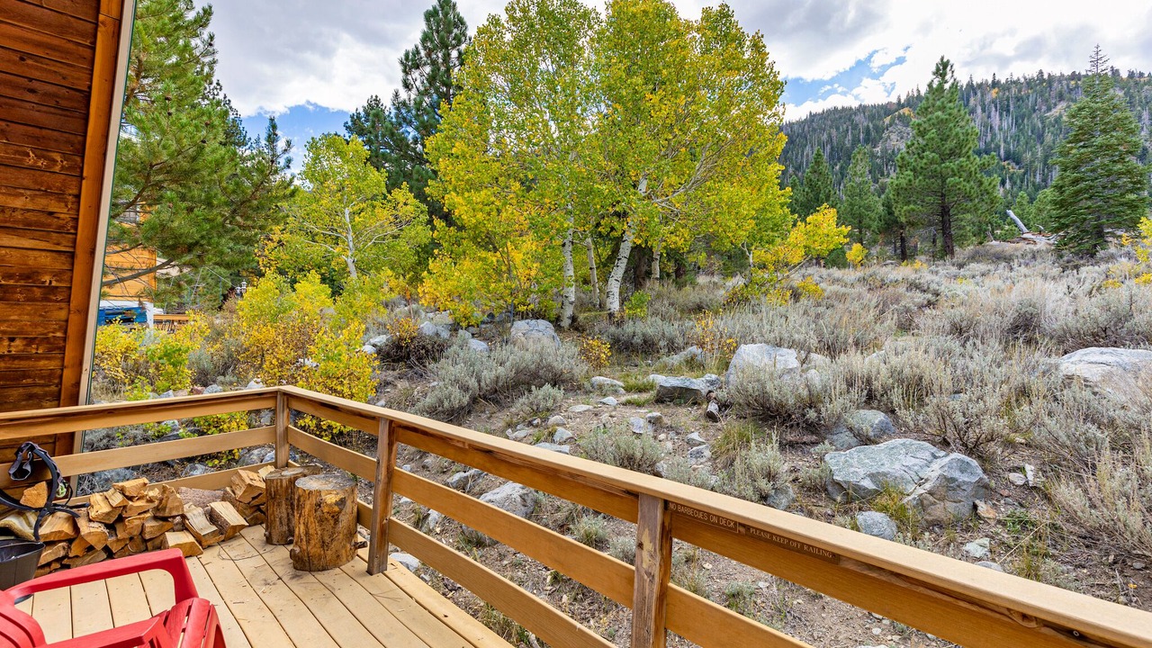 Photo of Others in June Lake