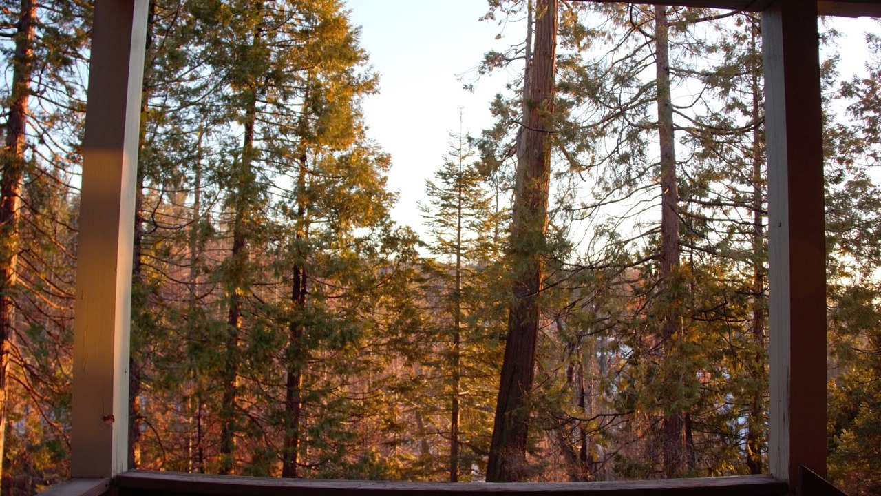 Photo of Outdoor in Shaver Lake