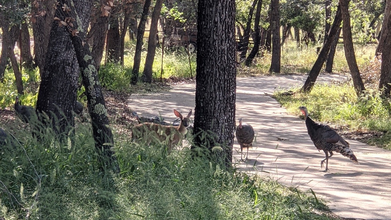 Photo of Others in Sierra Vista Southeast